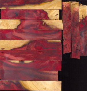20053435118_boxelderroot.jpg
