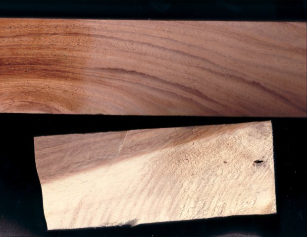 20053704954_Unknown%20Wood.jpg