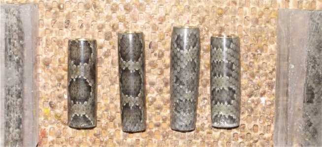 200541415135_snake_all.jpg