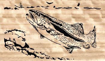 2005416122016_F1-1trout14x24.jpg