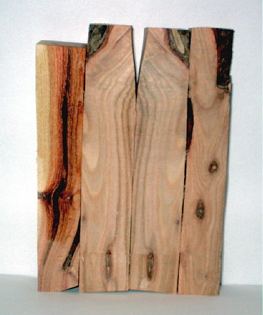 200541931210_SaltCedar.jpg
