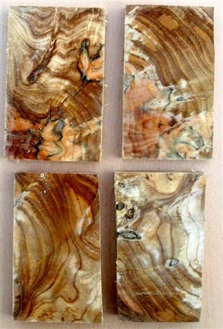 2005430192056_spaltedburrelm1.jpg