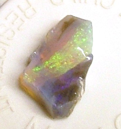 200551212842_Opal.jpg