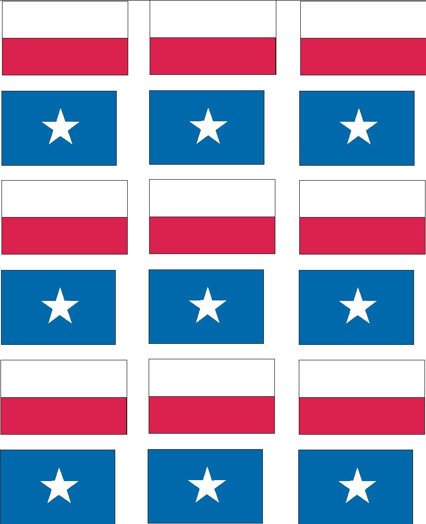2005521193529_TexFlag_1.jpg