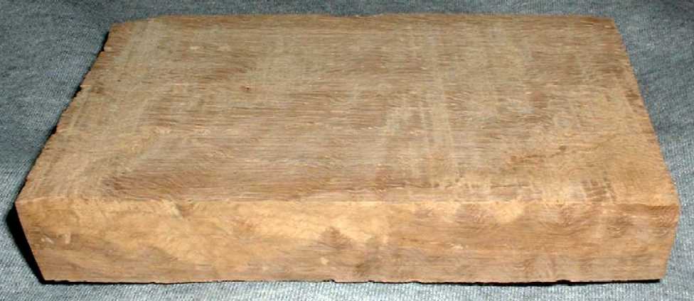 200552223759_curly_oak.jpg