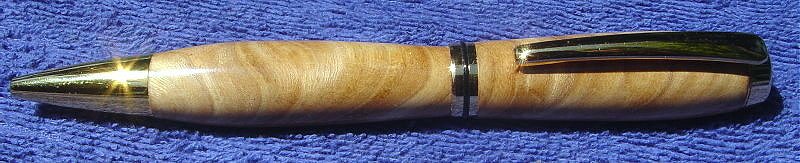 2005522749_elm3.jpg