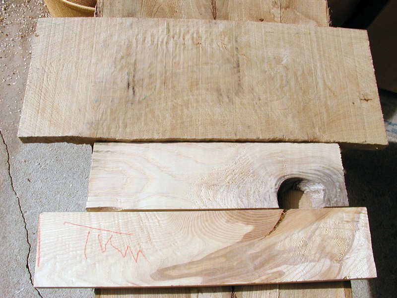 20055622315_White-oak-and-ash.jpg