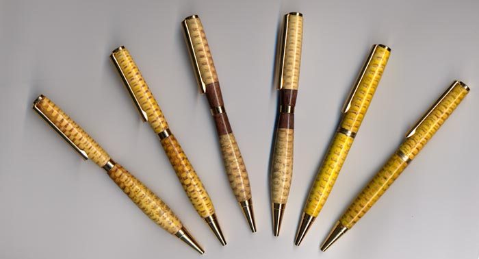 200561701652_Row_of_corn.jpg