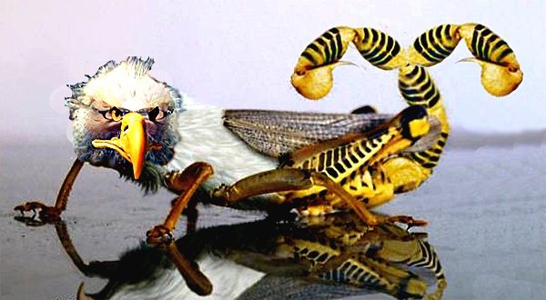 2005621144939_Eagliz.jpg