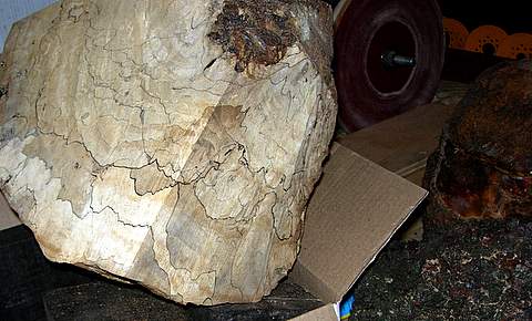 2005725151542_DSCN1187.jpg