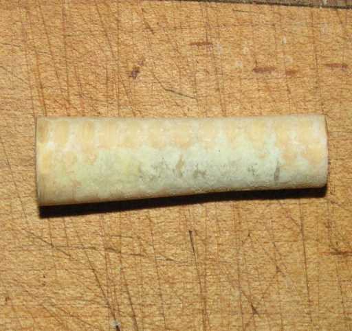 200582114316_corncob2.jpg