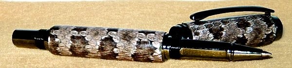 200582185917_Rattler.jpg