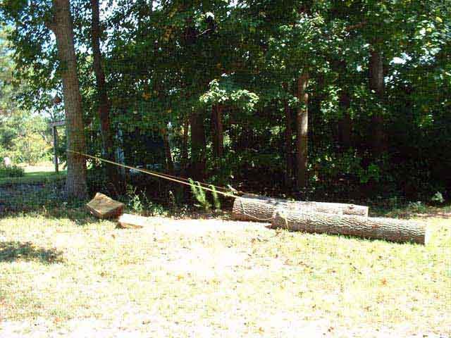2005911173739_persimmonescape.jpg
