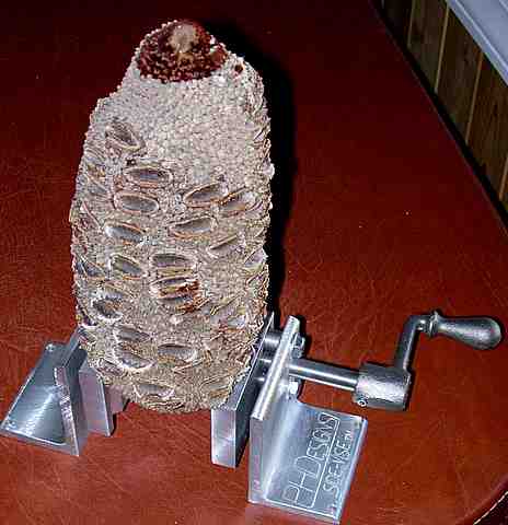 20059131345_DSCN1501.jpg