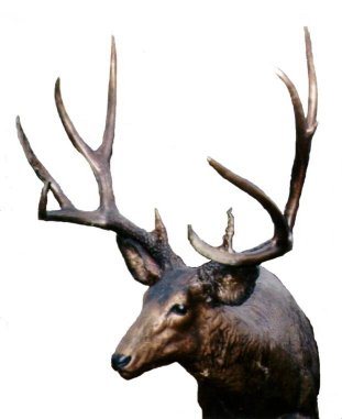 200591823120_new_mule_deer_6_head_rack.jpg