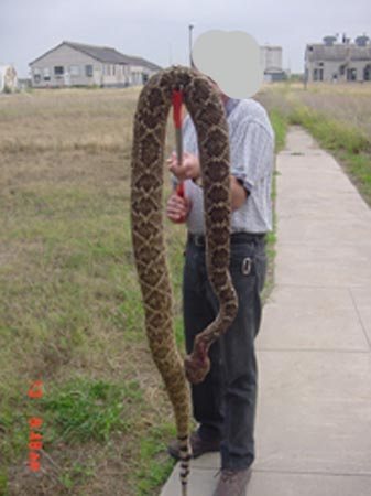 2005921221237_snake.jpg