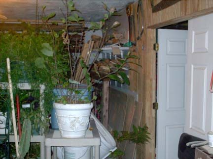 200592323555_Shop%20004.jpg