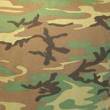 2006101132122_CAMMO.jpg