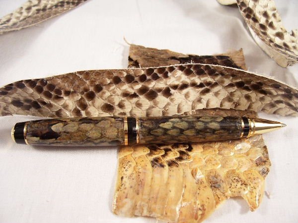 20061020142356_snakeskin.jpg