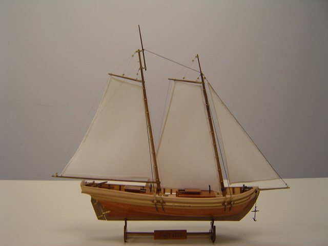 20061021223052_Swift-1.jpg