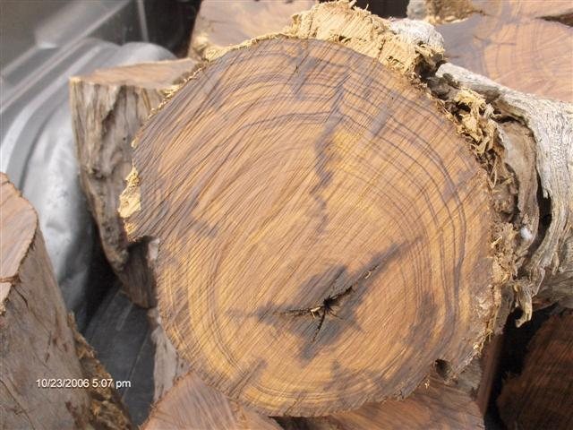 20061024357_HPIM0270.jpg