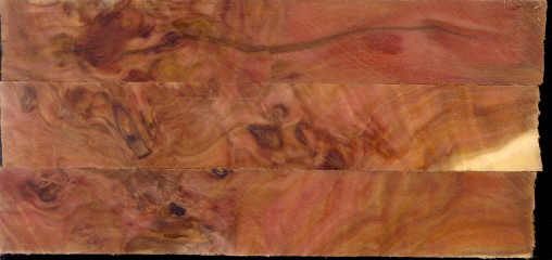 200610312242_crabappleburl.jpg
