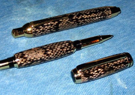 2006111223756_spen1.jpg