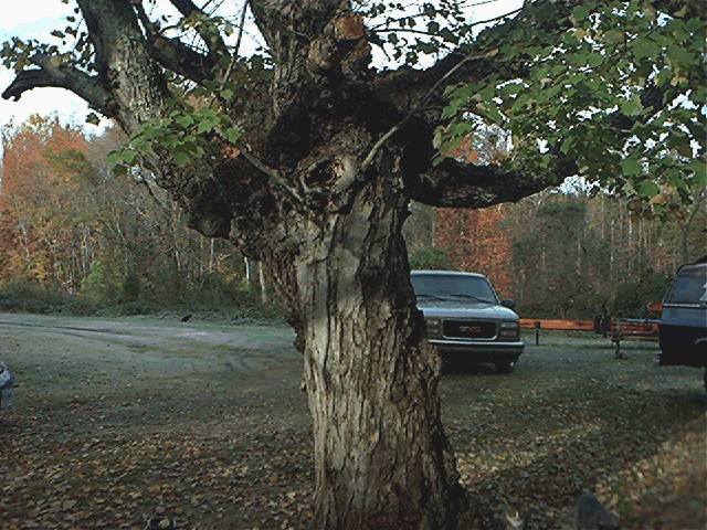 2006112044727_Nov05$01.jpg