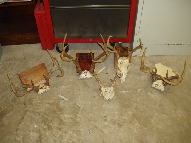 2006112144812_PB020062.jpg