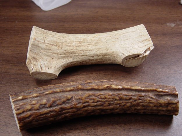 2006112818132_bone%202.jpg