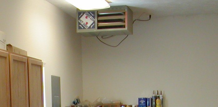 200611614445_Hot%20Dawg.jpg
