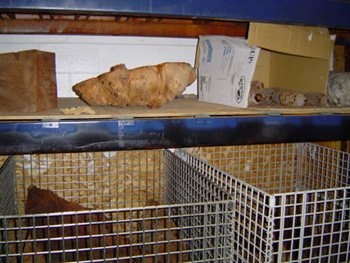 200611818711_DSC00399.jpg