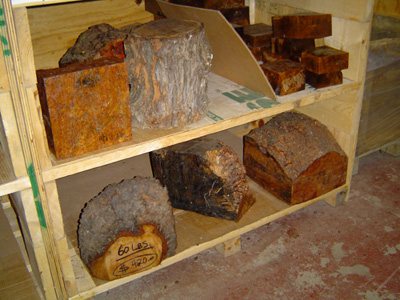 20061181897_DSC00404.jpg