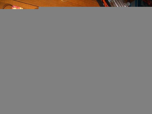 200612114336_mice1.jpg