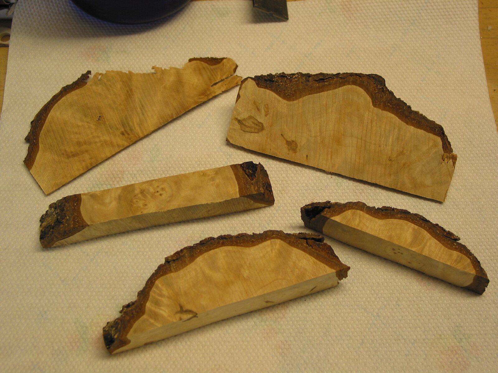 20061218175611_1218%20mystery%20wood%20005.jpg