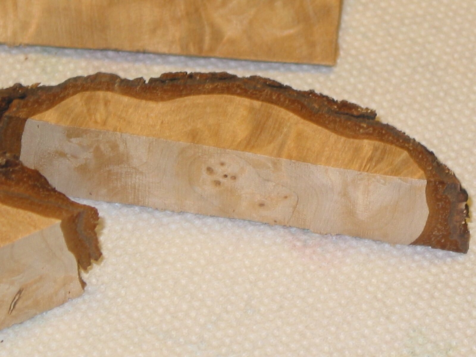 20061218175833_1218%20mystery%20wood%20011.jpg