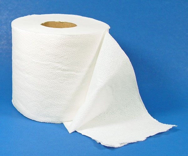 2006122154536_Toilet_Paper_600web.jpg