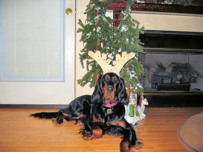 2006122215926_MerryChristmas.jpg
