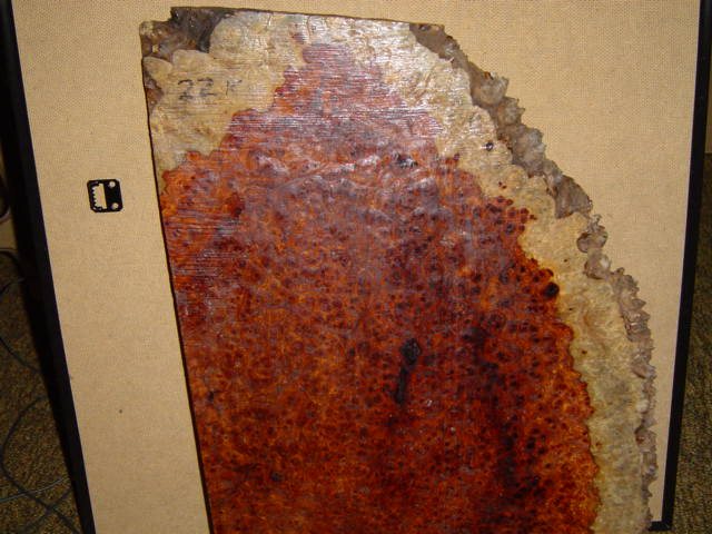 20061234518_DSC00503.jpg