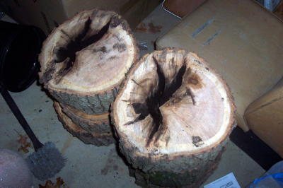 200612414249_wood%202.jpg
