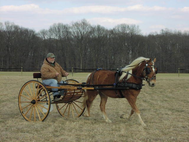 2006126153215_P3130024.jpg