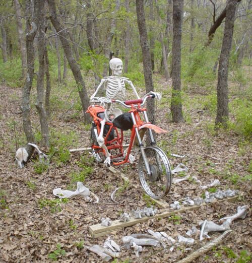 2006130184855_Bare%20Bones%20Riding.jpg