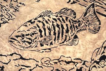 2006210124348_f1-3SmallmouthBass.jpg