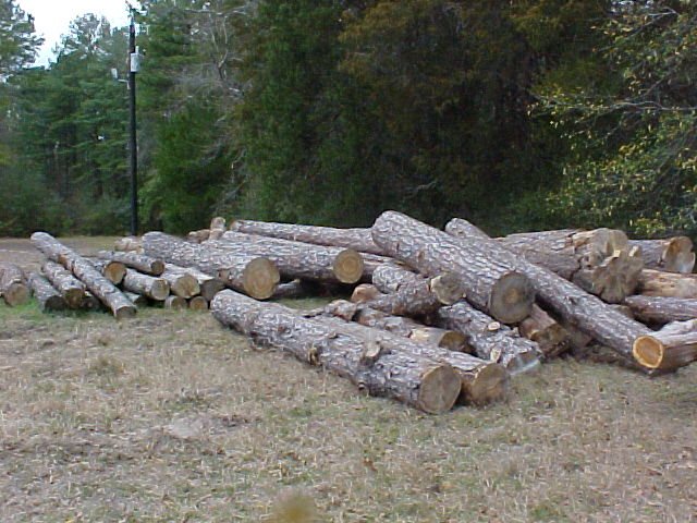 200621725745_Mvc-005f.jpg