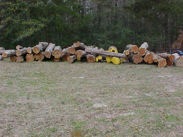 200621725955_Mvc-006f.jpg