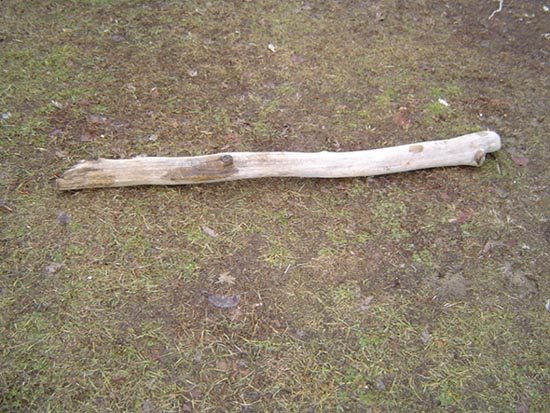 2006222171751_driftwood4sm.jpg