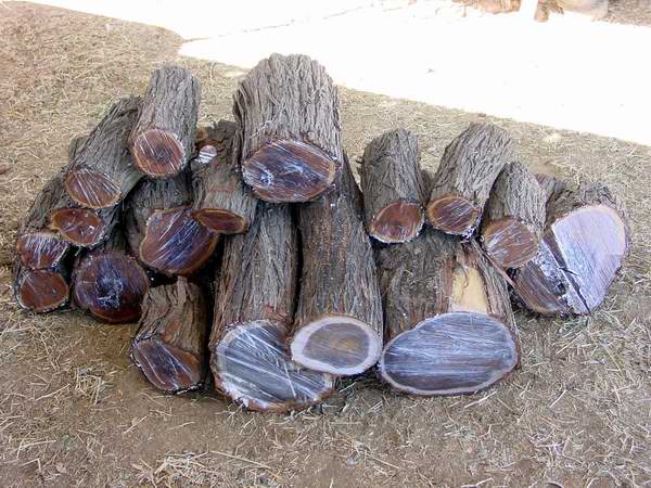 20062231441_wood%20002.jpg
