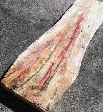 2006224192233_boxelder.jpg