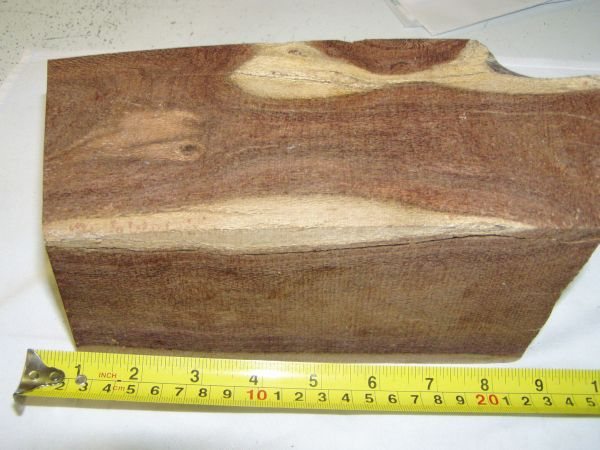 200622423616_beefwood%20crotch3.jpg