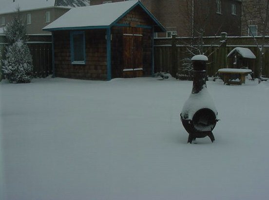 200622517168_shed1a.jpg